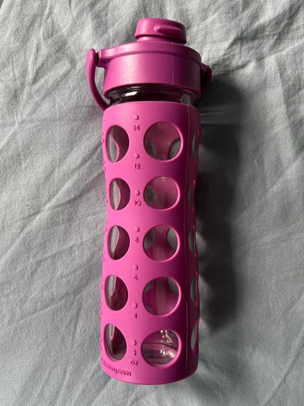 Lifefactory 16oz Purple Silicon and Glass Water Bottle with Flip Lid